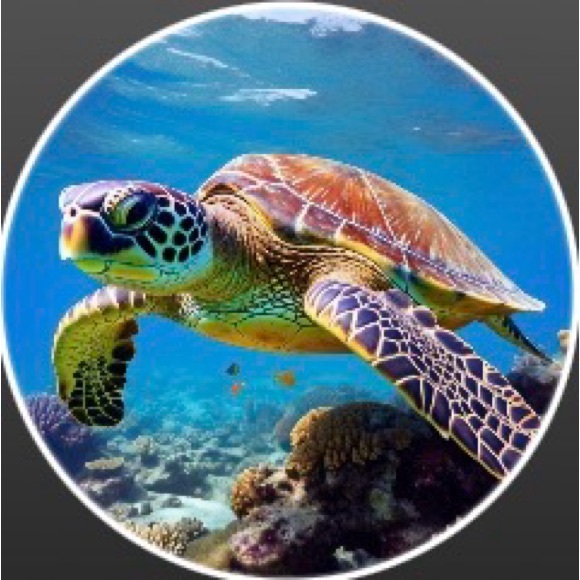 turtle_dee